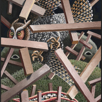 Morgan Bulkeley'swork, Book: Long-eared Owl Mask